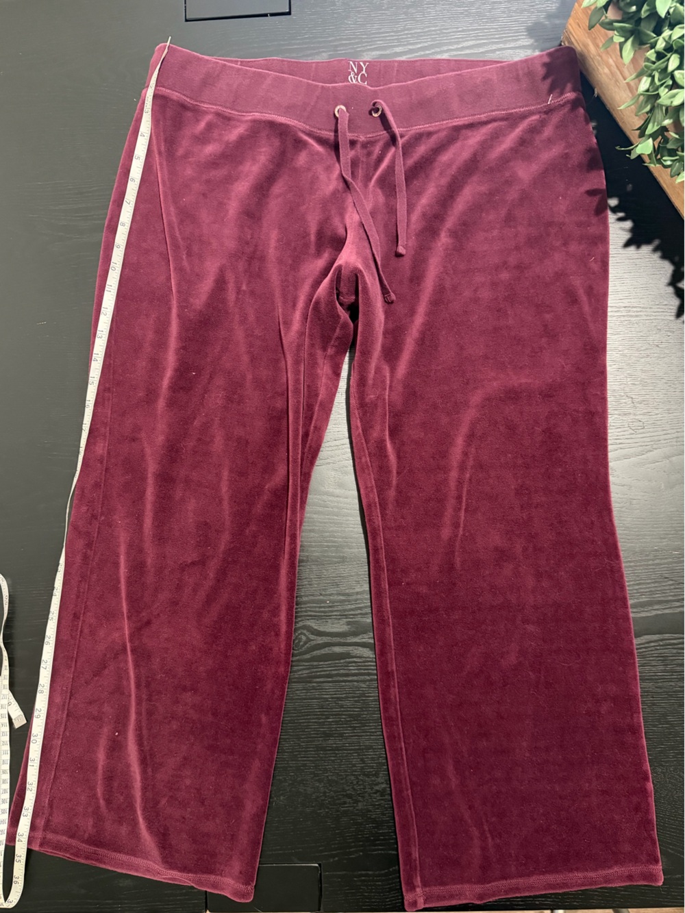 New York & Company Women's Velvet Joggers in Plum